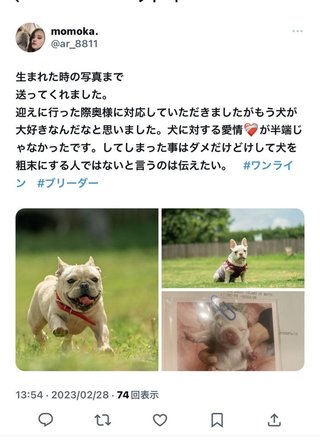 この飼い主頭おかしくない？？？