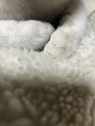 &#x{11:F8E2};なんでもいｰから&#x{11:F8E2};