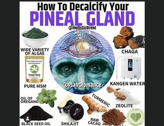 フッ素の解毒法  > 認知症と毒ワクチン解毒？