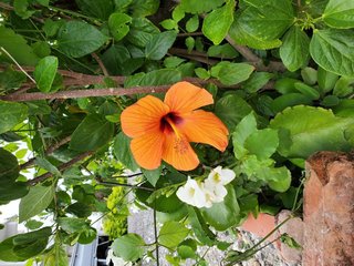 &#x{11:F8E2};なんでもいｰから&#x{11:F8E2};