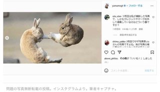 山本圭壱インスタで写真無断利用