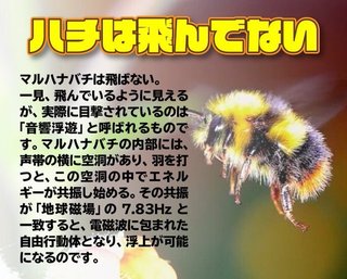 毒ワクチン爬虫類のジェット燃料の詐欺ww 