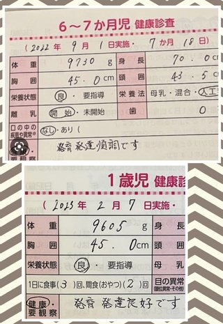 豆腐と節男と時々ズミ