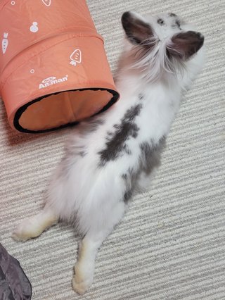 &#x{11:F8E2};なんでもいｰから&#x{11:F8E2};