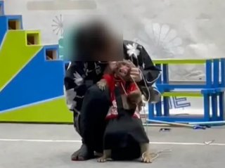 しつけが物議 日光さる軍団が謝罪