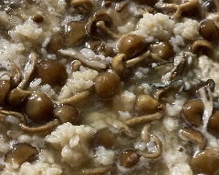 クセ強い匿名、避難用