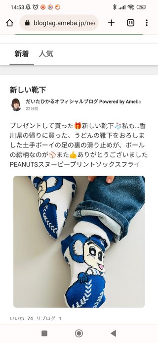 豆腐と節男と時々ズミ