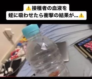 ワクチン接種者の血をヒルが吸つたら ヒル死んじゃった