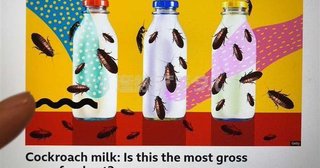 狂った毒ワクチン産経ww 人類を救う「ゴキブリのミルク」栄養は牛乳の３倍？ww 