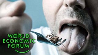 ヨーロッパ人は、神経毒の昆虫食「コオロギ.バッタ.ミールワーム」を強制的に食べている