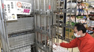 卵が品切れ  毒ワクチンコオロギ黒鉛を強制 飲ませるために偽鳥インフルエンザで鶏の殺処分