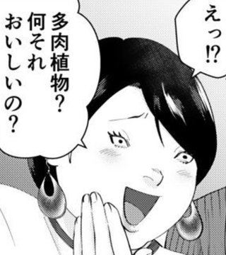 ももち　ぬぉー