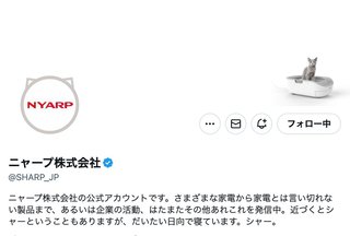 ニャース、にゃマト、ニャープ…。「猫の日」に企業の公式Twitterがネコ化。どれが一番好き？