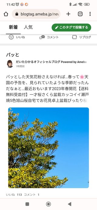 豆腐と節男と時々ズミ