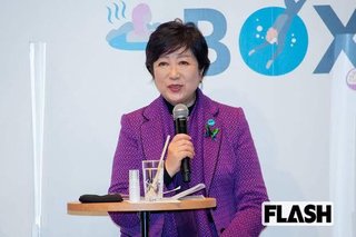 小池百合子「葛西臨海公園ぶっ壊して太陽光発電パネル置くわよ！｣