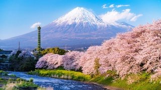 静岡県、中国の人気インフルエンサーと連携　静岡空港の利用促進し中国人観光客呼び込む