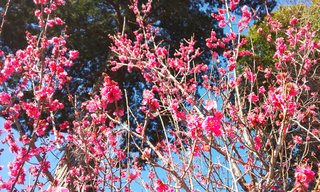 &#x{11:F8E2};なんでもいｰから&#x{11:F8E2};