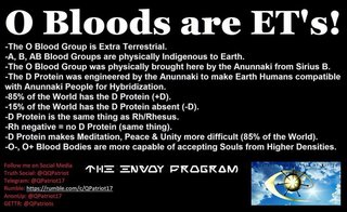 O BloodsはETのものです!  アヌンナキによってO血液型は地球外です