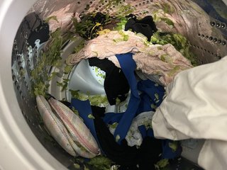 人気YouTuberが衝撃報告!なぜか洗濯機の中にレタスを放置…「忘れてて丸ごと洗ってしもーた」