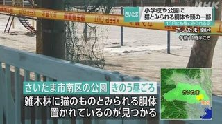 「猫を殺したのは自分」 戸田市 中学 刃物男侵入