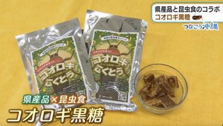【琉球黒糖】毒コオロギ粉末の入った『コオロギ黒糖』を製造、批判殺到ww