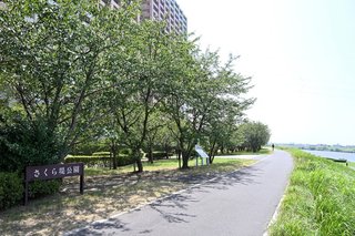 花見中に３歳の男の子が行方不明に　千葉・市川