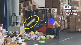 関西国際空港で荷物“放り投げ”動画　野ざらしの荷物を次々と宙へ…「空港に対する信頼度危ぶまれる」