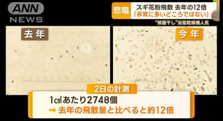 今年の花粉量、去年の12倍に