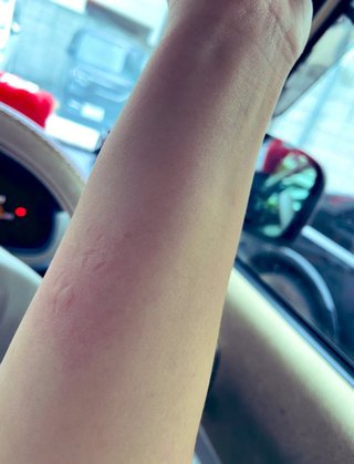 主人からDVを受けています。命からがら家から逃げ出してきたけど帰るのが怖い