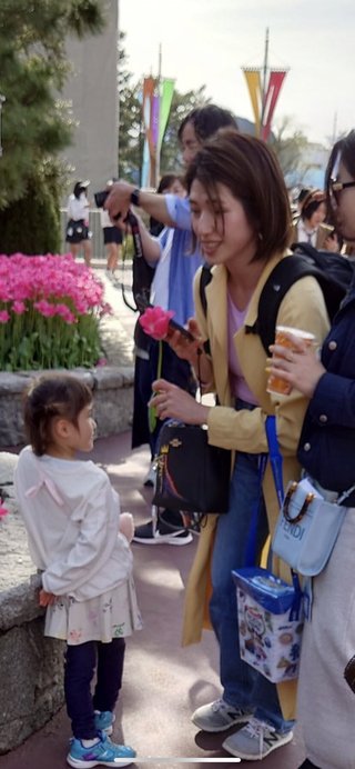 映え目的？ディズニーランドで花壇の花引きちぎる...子連れ客