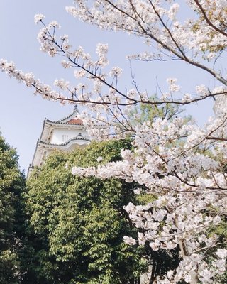 卍◇卍「白蛇城」卍◇卍