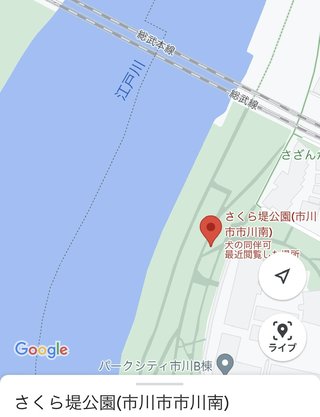 花見中に３歳の男の子が行方不明に　千葉・市川