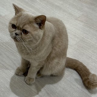 しょんないねぇ