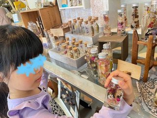 長岡の紅葉について