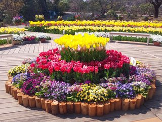 &#x{11:F8E2};なんでもいｰから&#x{11:F8E2};