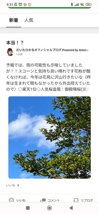 豆腐と節男と時々ズミ