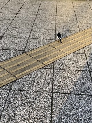 ≪チラ裏≫独り言