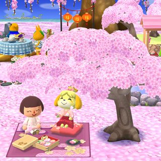 【アプリ】どうぶつの森 ポケットキャンプ