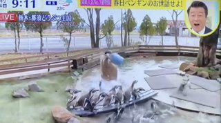 那須どうぶつ王国が日テレ「スッキリ」に厳重抗議