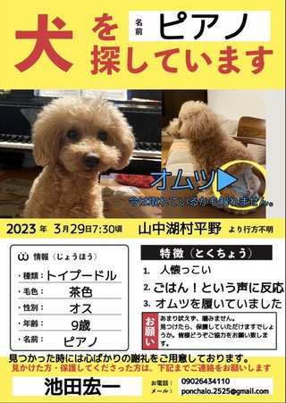 緊急 犬の迷子 山梨県