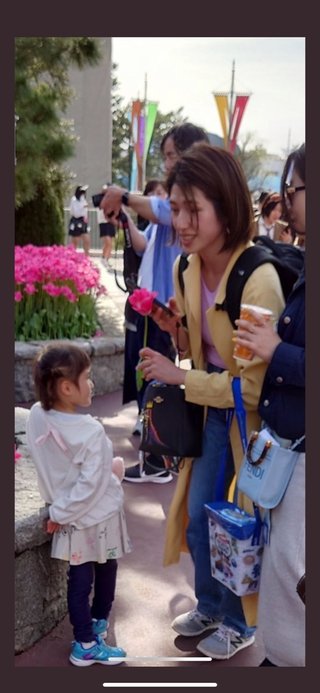 映え目的？ディズニーランドで花壇の花引きちぎる...子連れ客