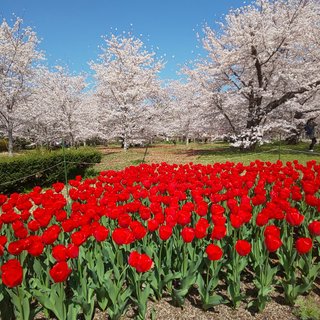 &#x{11:F8E2};なんでもいｰから&#x{11:F8E2};