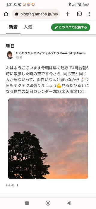 豆腐と節男と時々ズミ