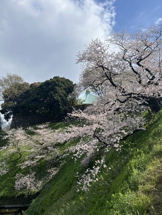 卍★ 閻魔道沙羅の刹堂 ★卍　