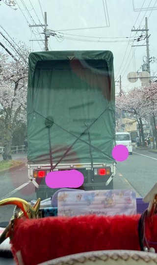 桜舞う私の心舞う‥そこで君と会いたい