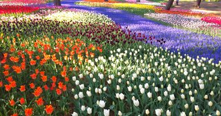 &#x{11:F8E2};なんでもいｰから&#x{11:F8E2};