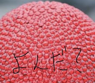 本物のグロい動画見られる人凄すぎない？