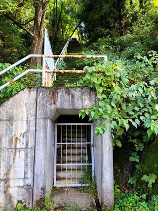 &#x{11:F8E2};なんでもいｰから&#x{11:F8E2};