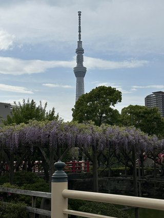 &#x{11:F8E2};なんでもいｰから&#x{11:F8E2};