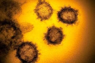 コロナ脳症の子ども4人死亡　回復6割、8人に後遺症